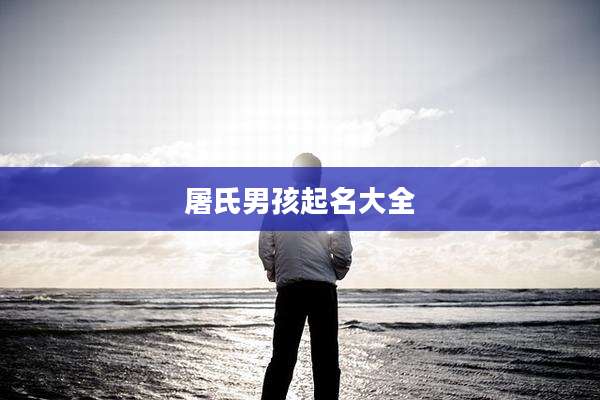 屠氏男孩起名大全