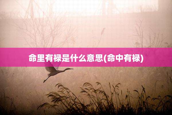 命里有禄是什么意思(命中有禄)