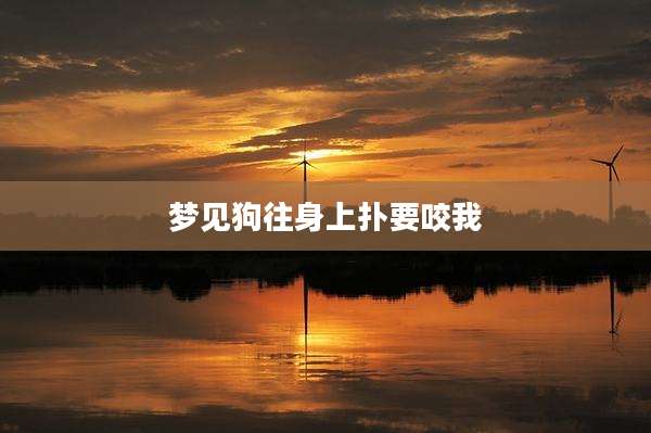 梦见狗往身上扑要咬我