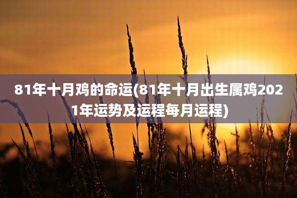 81年十月鸡的命运(81年十月出生属鸡2021年运势及运程每月运程)