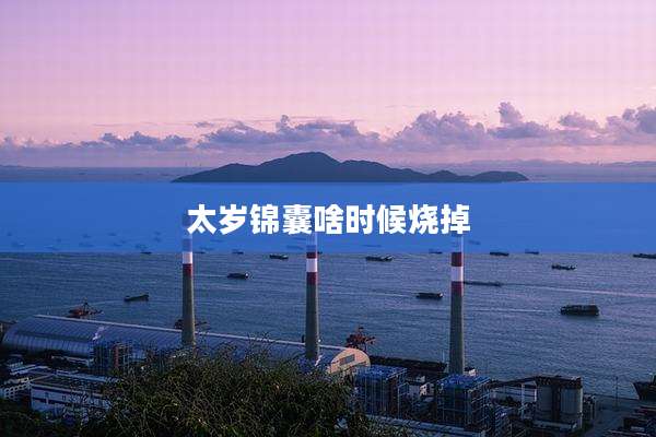 太岁锦囊啥时候烧掉