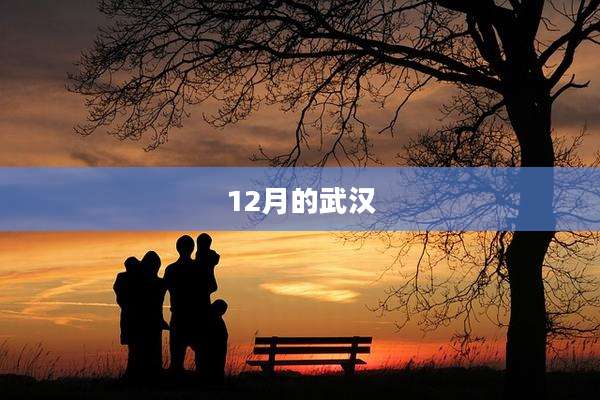 12月的武汉