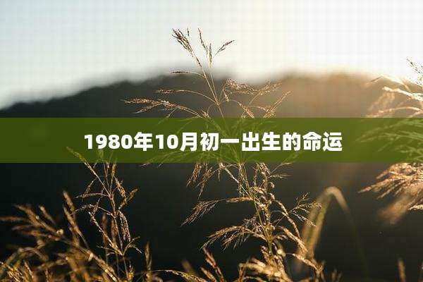 1980年10月初一出生的命运