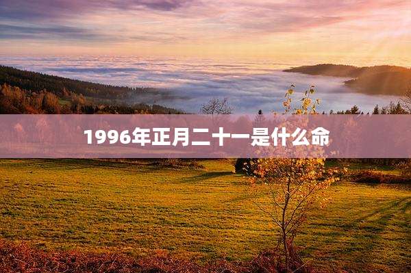1996年正月二十一是什么命