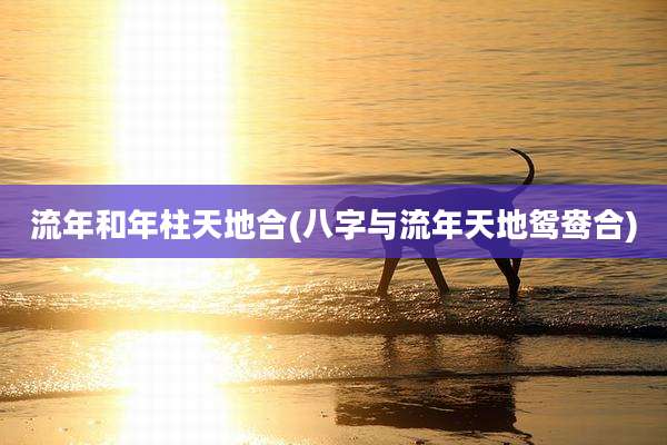 流年和年柱天地合(八字与流年天地鸳鸯合)