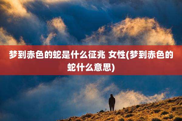 梦到赤色的蛇是什么征兆 女性(梦到赤色的蛇什么意思)