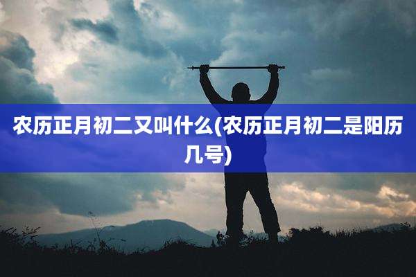 农历正月初二又叫什么(农历正月初二是阳历几号)