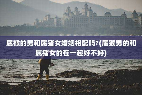 属猴的男和属猪女婚姻相配吗?(属猴男的和属猪女的在一起好不好)