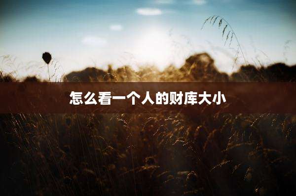怎么看一个人的财库大小