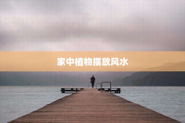 家中植物摆放风水