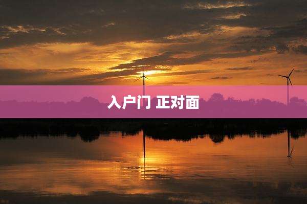 入户门 正对面