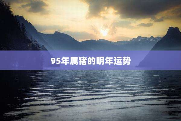95年属猪的明年运势