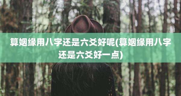 算姻缘用八字还是六爻好呢(算姻缘用八字还是六爻好一点)