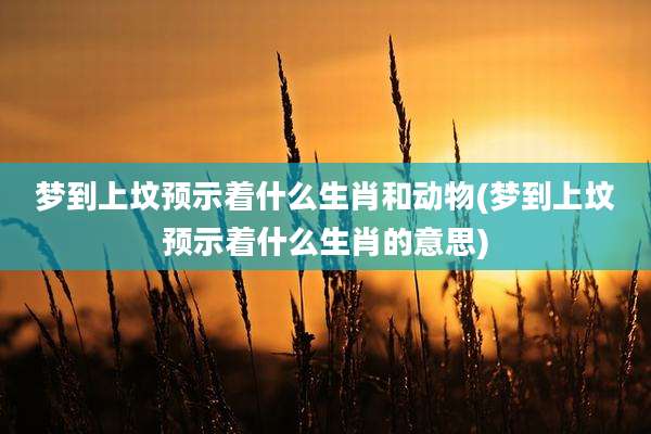 梦到上坟预示着什么生肖和动物(梦到上坟预示着什么生肖的意思)