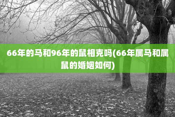 66年的马和96年的鼠相克吗(66年属马和属鼠的婚姻如何)