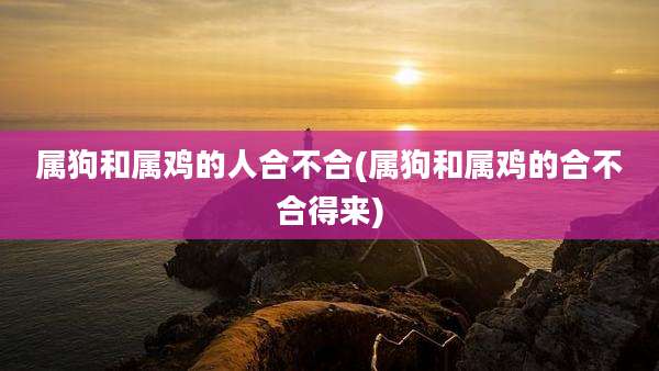 属狗和属鸡的人合不合(属狗和属鸡的合不合得来)