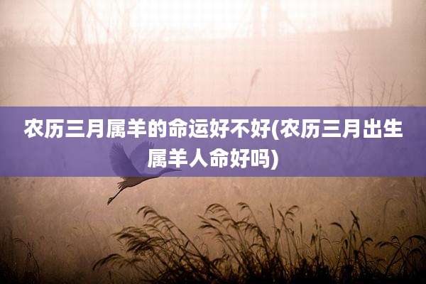 农历三月属羊的命运好不好(农历三月出生属羊人命好吗)