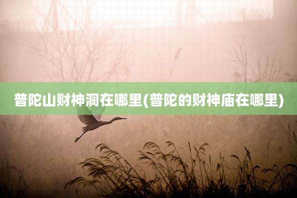 普陀山财神洞在哪里(普陀的财神庙在哪里)