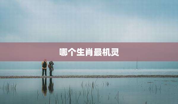 哪个生肖最机灵