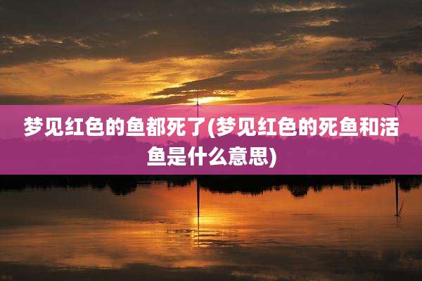 梦见红色的鱼都死了(梦见红色的死鱼和活鱼是什么意思)