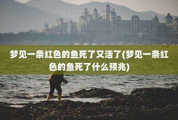 梦见一条红色的鱼死了又活了(梦见一条红色的鱼死了什么预兆)