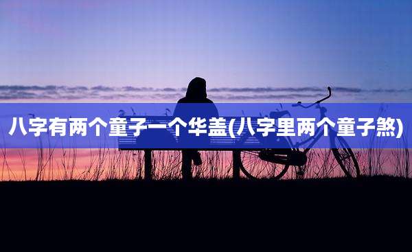 八字有两个童子一个华盖(八字里两个童子煞)