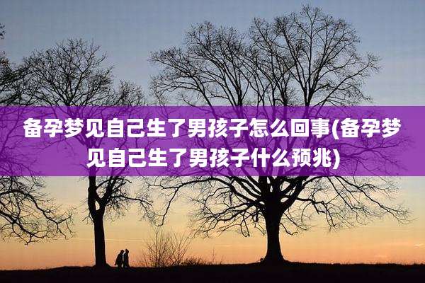 备孕梦见自己生了男孩子怎么回事(备孕梦见自己生了男孩子什么预兆)