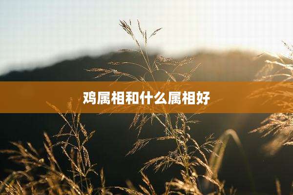 鸡属相和什么属相好