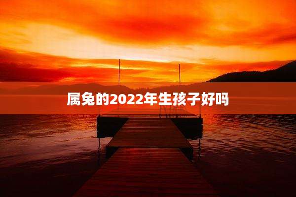 属兔的2022年生孩子好吗