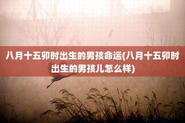 八月十五卯时出生的男孩命运(八月十五卯时出生的男孩儿怎么样)