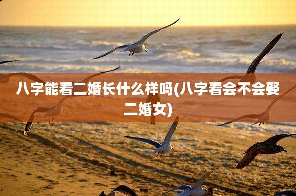 八字能看二婚长什么样吗(八字看会不会娶二婚女)
