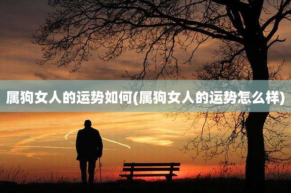 属狗女人的运势如何(属狗女人的运势怎么样)