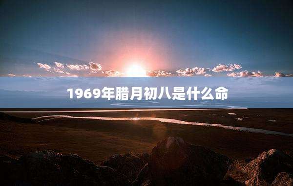 1969年腊月初八是什么命