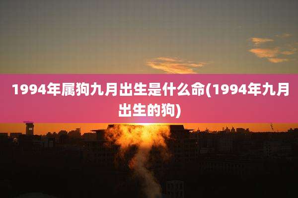1994年属狗九月出生是什么命(1994年九月出生的狗)