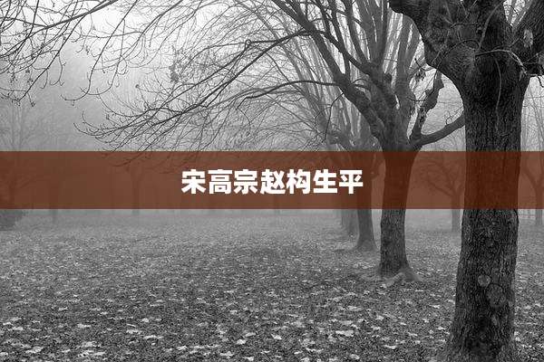 宋高宗赵构生平