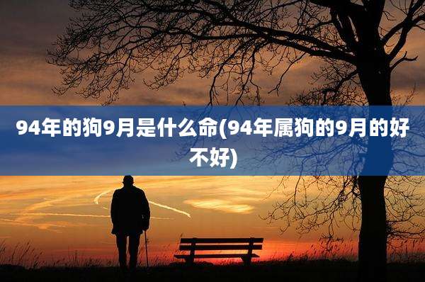 94年的狗9月是什么命(94年属狗的9月的好不好)