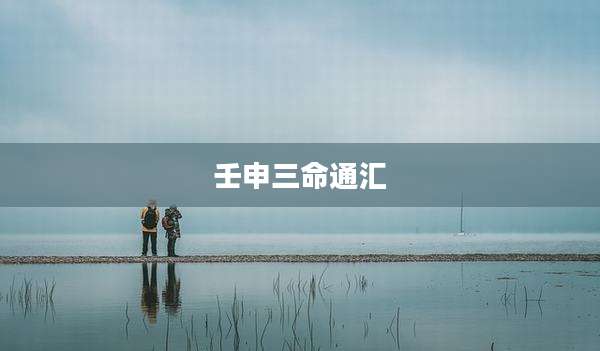 壬申三命通汇