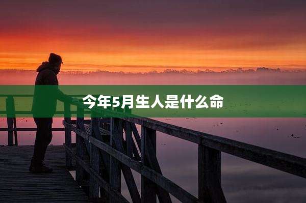今年5月生人是什么命