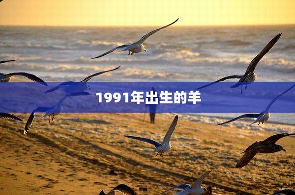 1991年出生的羊