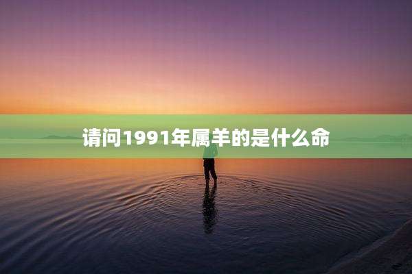 请问1991年属羊的是什么命