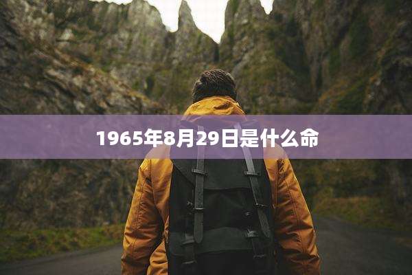 1965年8月29日是什么命