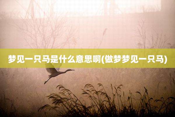 梦见一只马是什么意思啊(做梦梦见一只马)