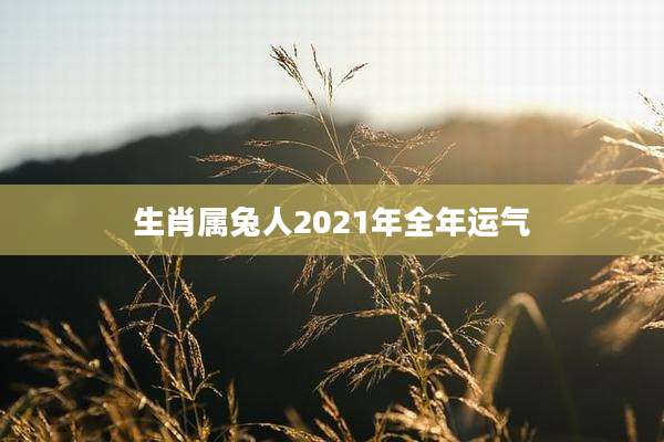 生肖属兔人2021年全年运气