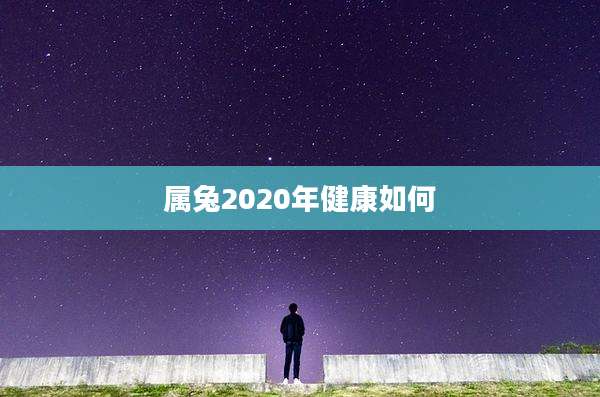 属兔2020年健康如何