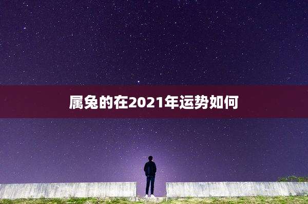 属兔的在2021年运势如何