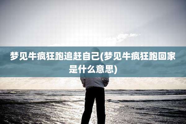 梦见牛疯狂跑追赶自己(梦见牛疯狂跑回家是什么意思)