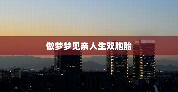 做梦梦见亲人生双胞胎