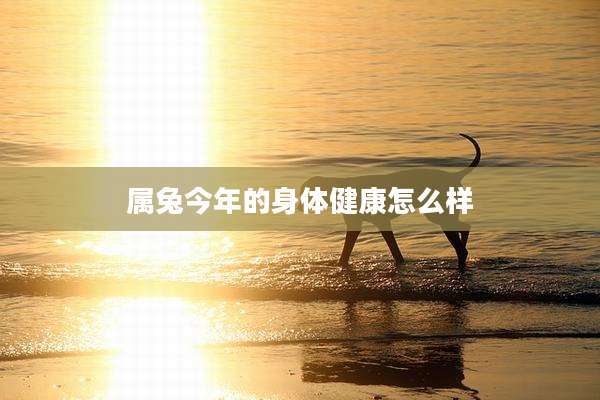 属兔今年的身体健康怎么样