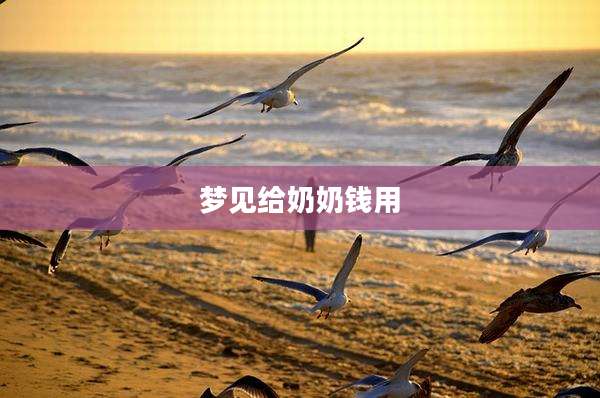 梦见给奶奶钱用
