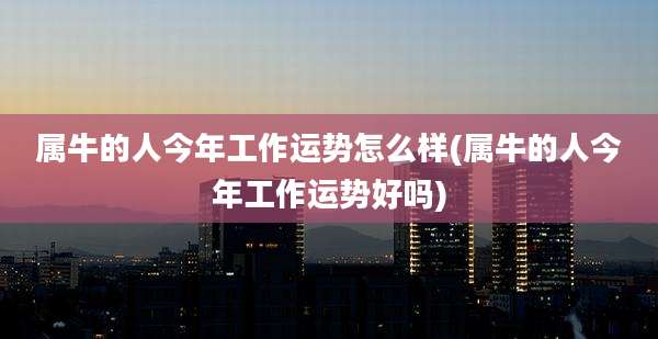 属牛的人今年工作运势怎么样(属牛的人今年工作运势好吗)
